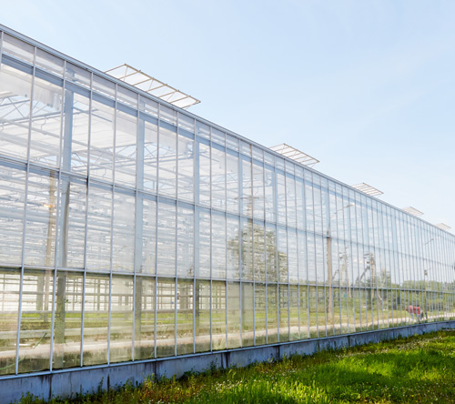 large greenhouse structure with glass panels and greenery in front showcasing modern agricultural techniques and promoting sustainability 2 features 2 benefits