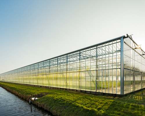 large greenhouse structure with glass walls reflecting sunlight beside a water body showcasing modern agricultural practices and technology