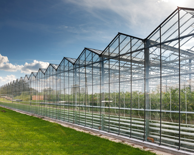 large greenhouse structure with glass panels and greenery showcasing innovative agricultural techniques for growing eight types of plants