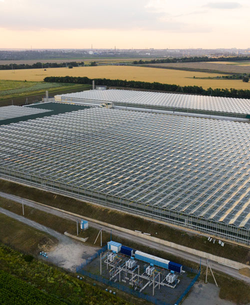 aerial view of large greenhouse complex with glass panels and nearby agricultural fields for efficient farming techniques and crop production 4 greenhouses growing vegetables