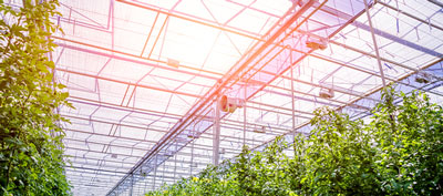 Greenhouse screens