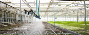 Irrigation system