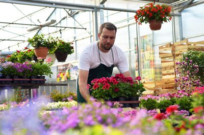 A man working in a garden center