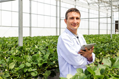 A man researching in a green house