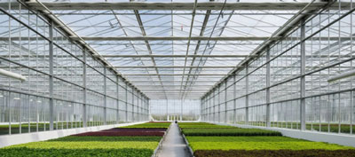 A large glass greenhouse